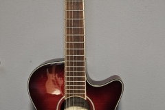 18.-IBANEZ-NYLON-AEG24NIL-2014-