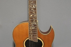 21.-IBANEZ-STEVE-VAI-ACUSTIC-2012-