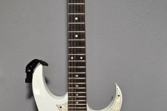 24.-RG-550-WH-CUSTOM-LUCI-